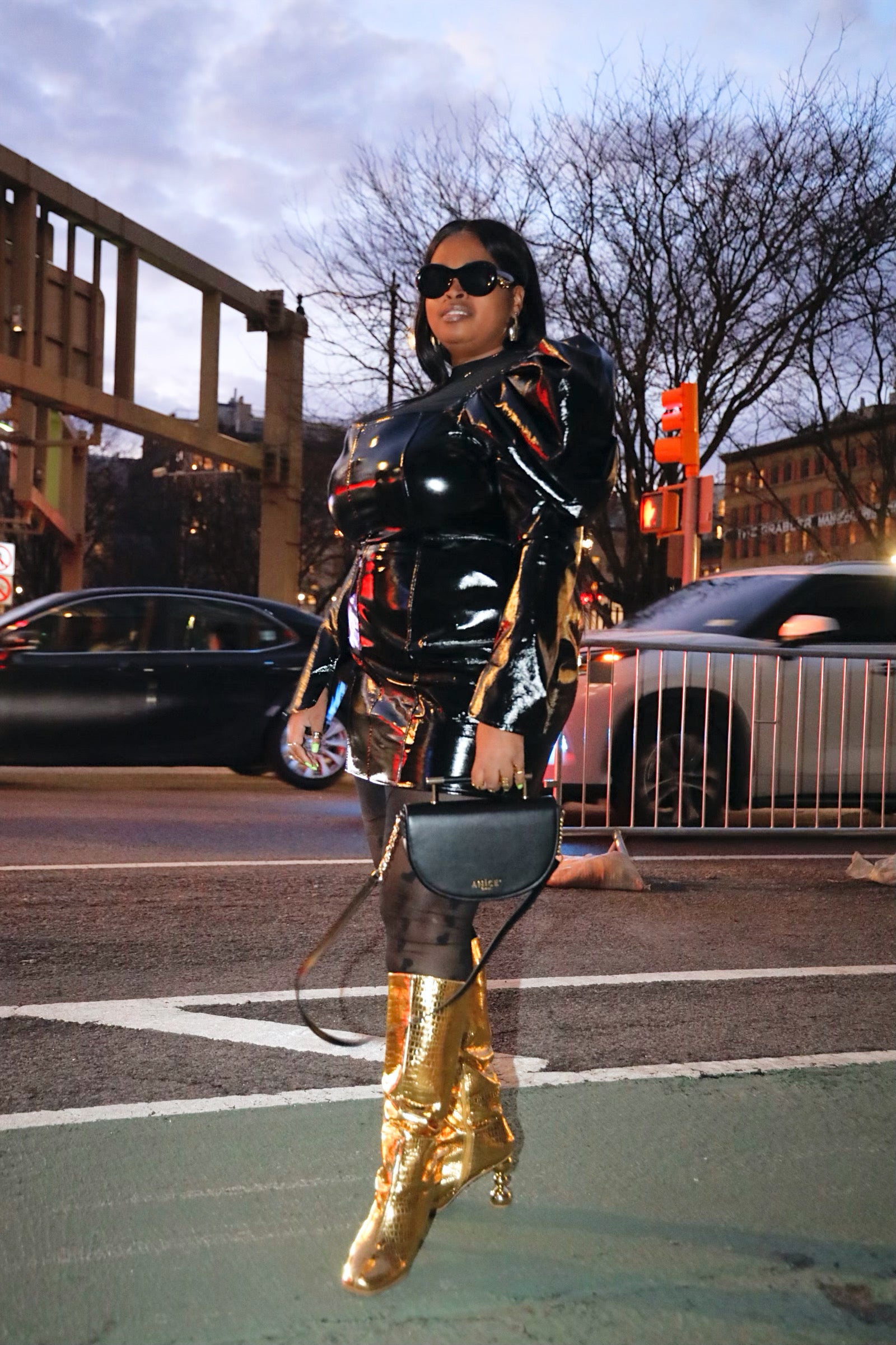 ANiCE’ By Angel SHAKUR Half Moon Metal Leather Top-Handle image 11