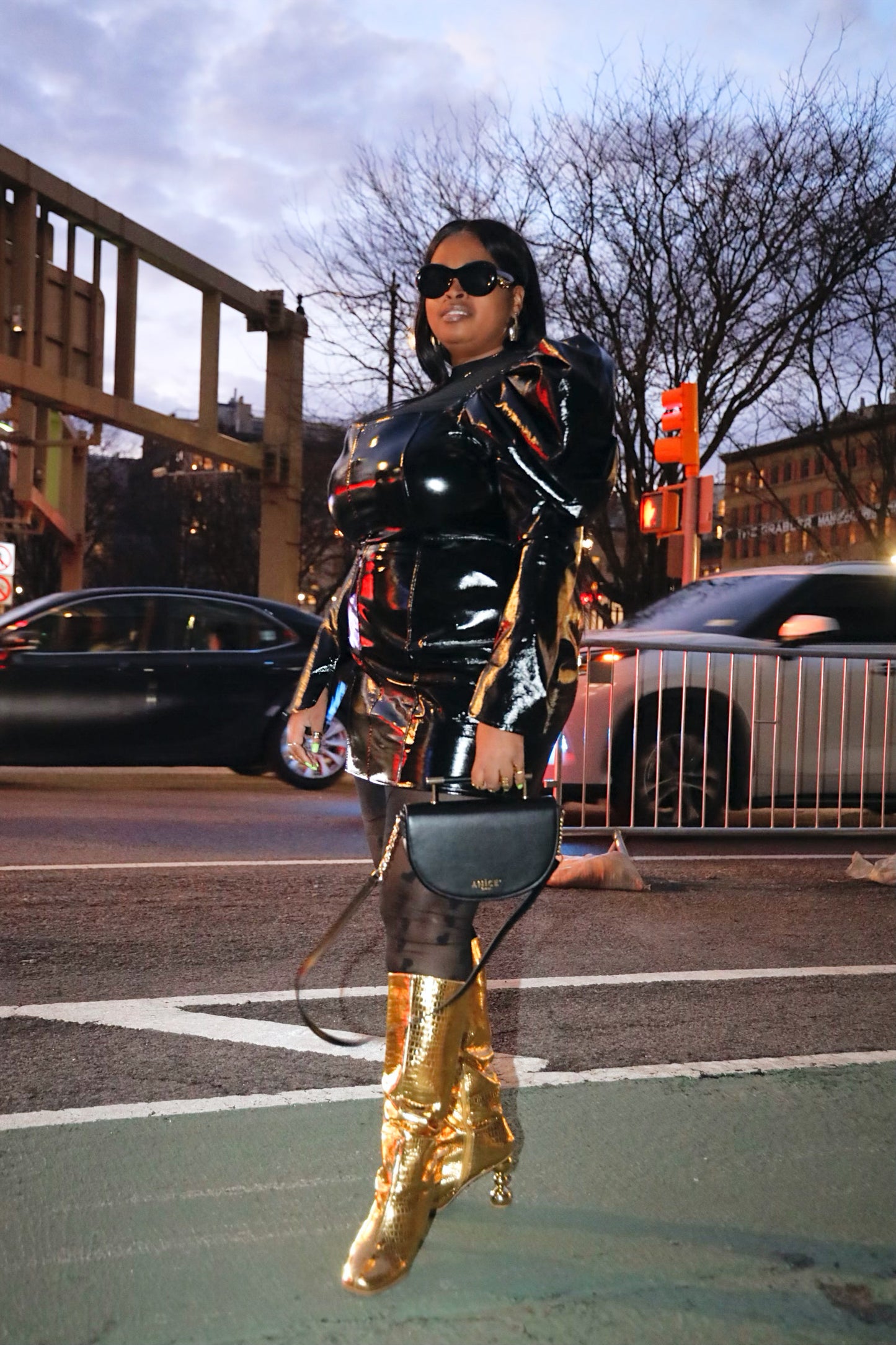 ANiCE’ By Angel SHAKUR Half Moon Metal Leather Top-Handle image 11